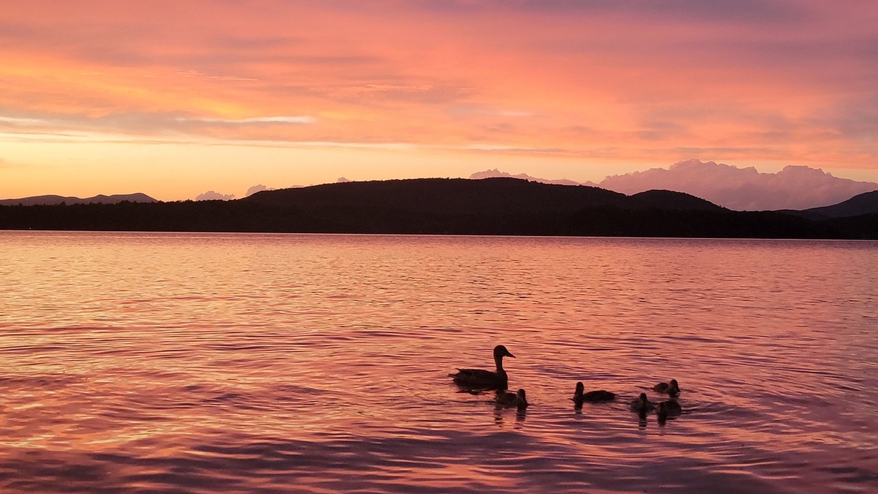 Photo of Others in Lake Pleasant