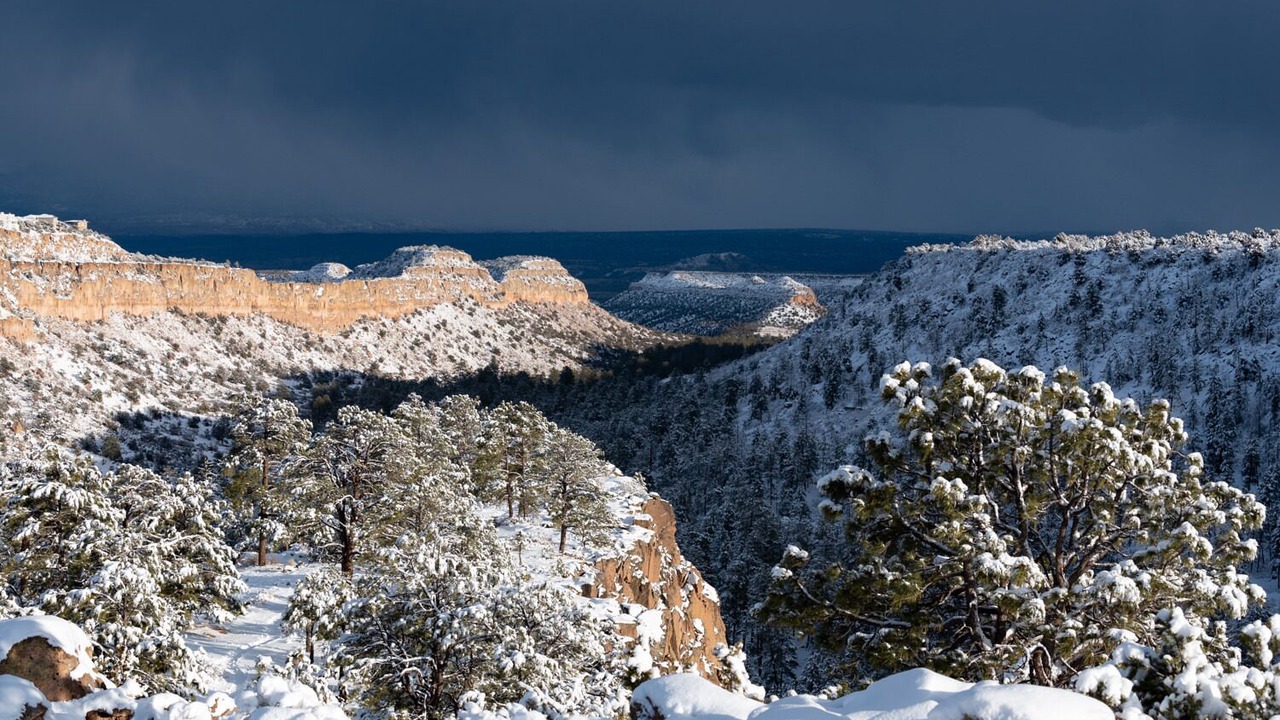 Photo of Others in Los Alamos