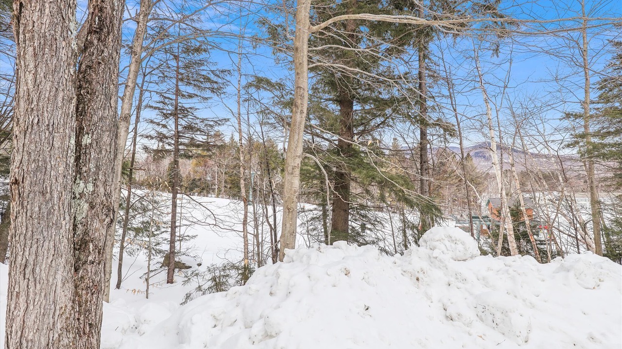 Photo of Others in Stowe Area