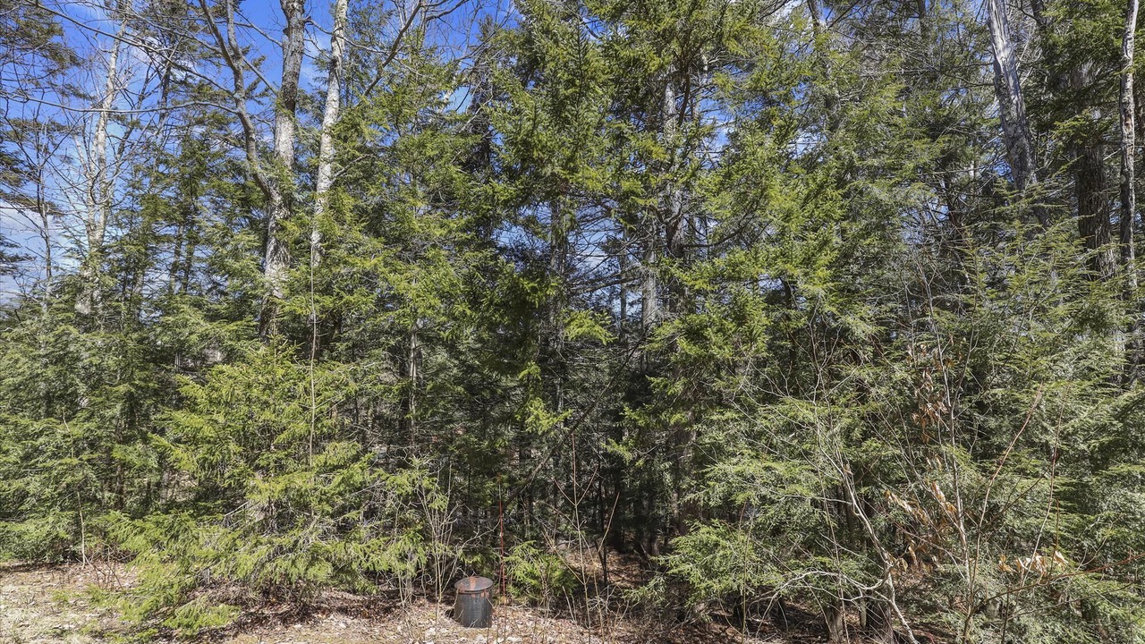 Photo of Others in Stowe Area