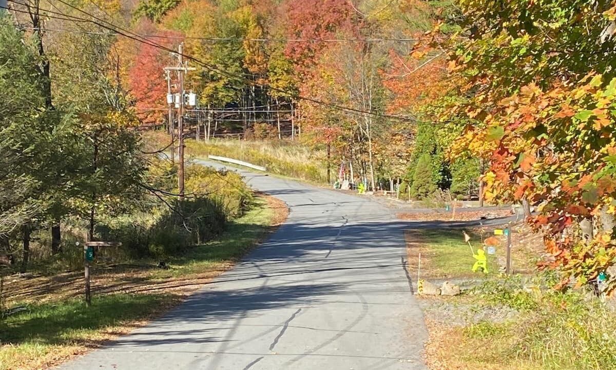 Photo of Outdoor in Lake Ariel