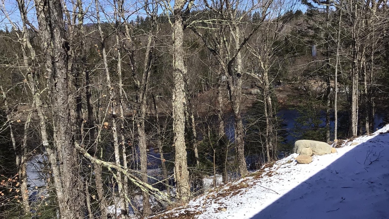 Photo of Others in Long Lake
