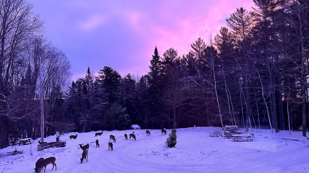 Photo of Others in Long Lake