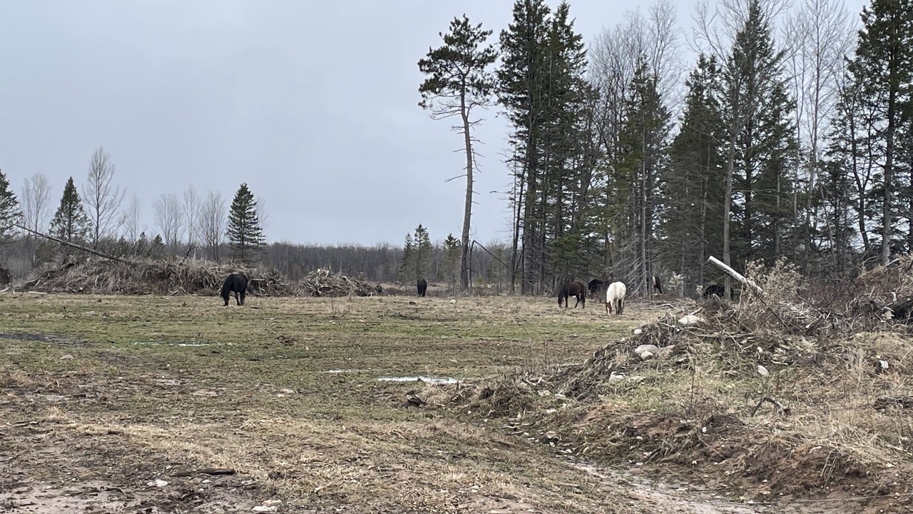 Photo of Outdoor in Westboro