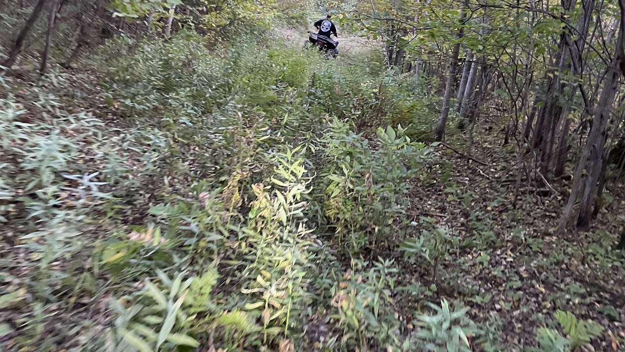 Photo of Outdoor in Westboro