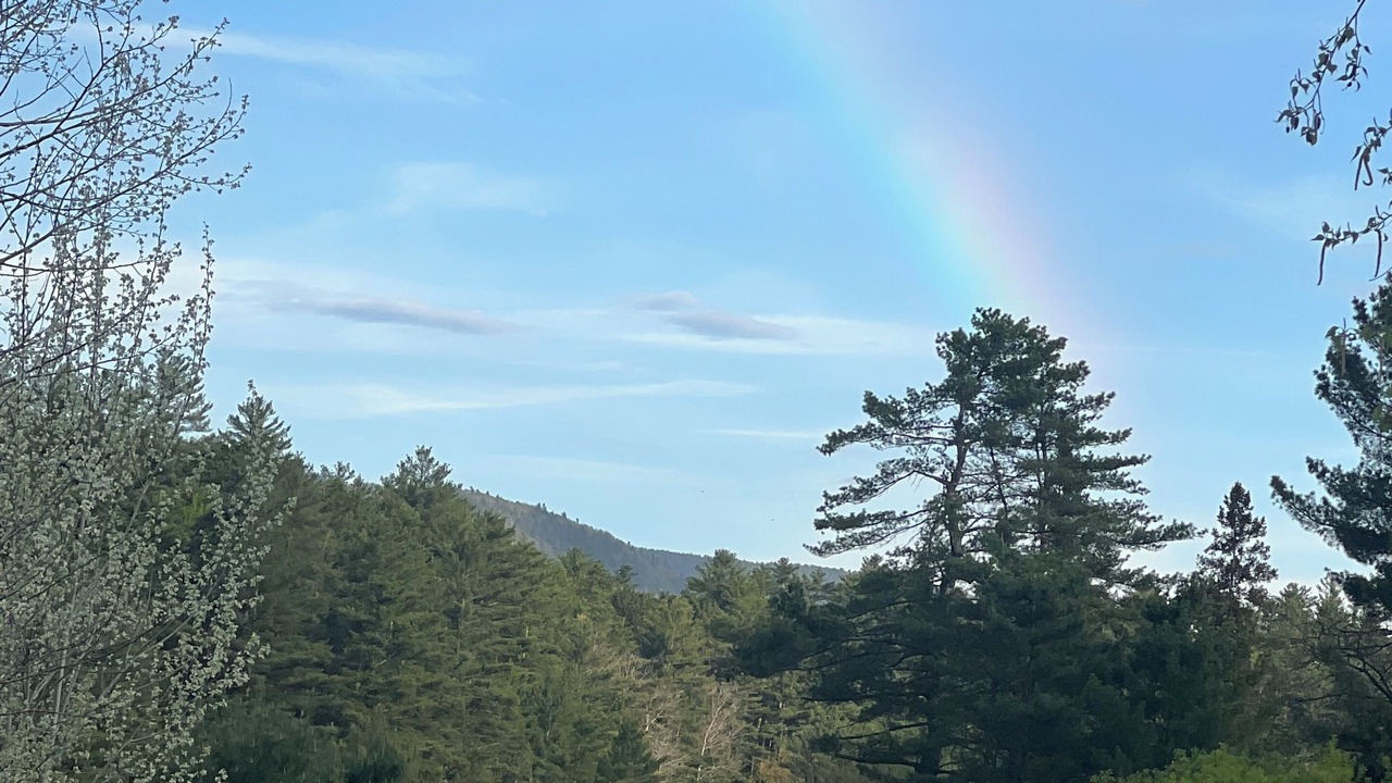 Photo of Others in Au Sable Forks