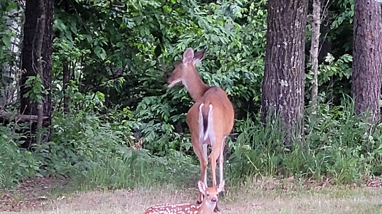 Photo of Outdoor in Spooner