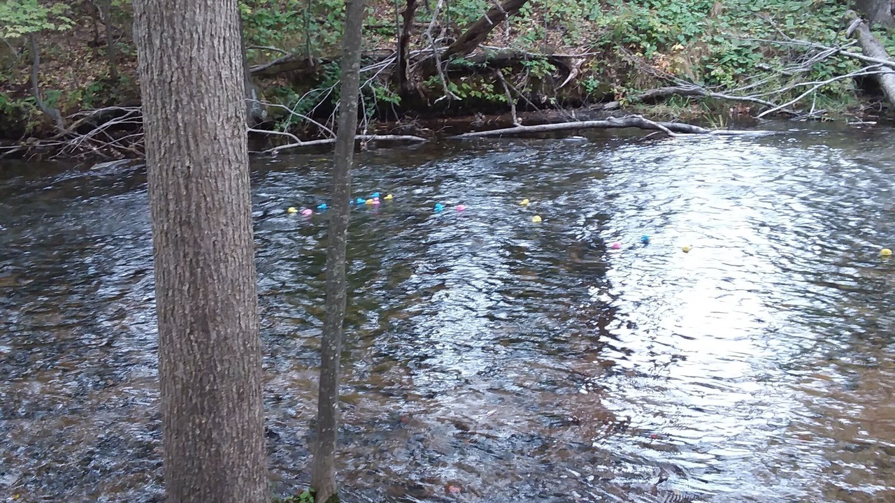Photo of Others in Spooner
