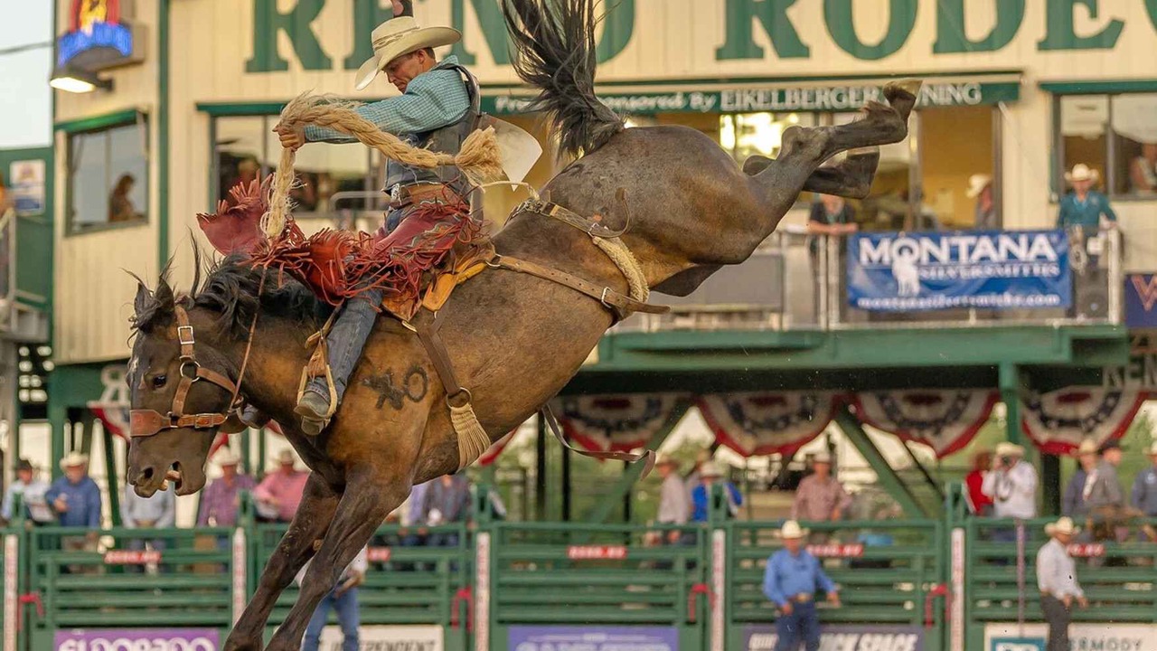 Photo of Others in Sparks