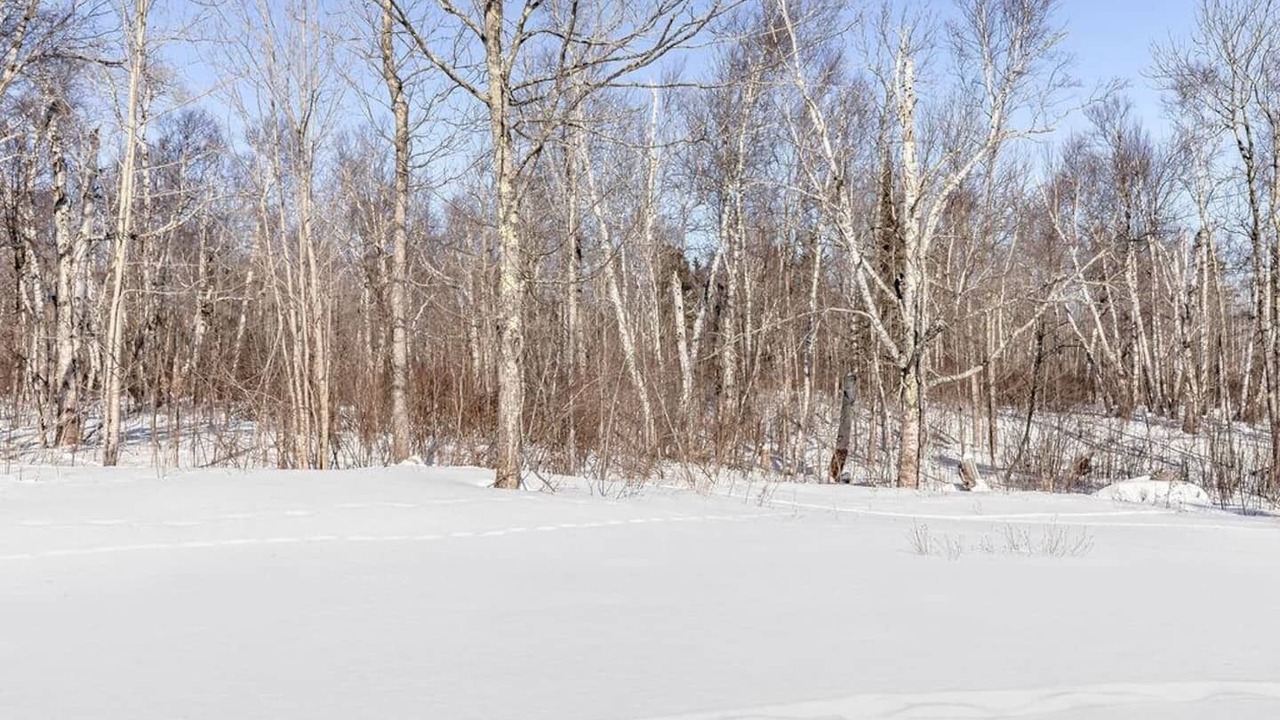 Photo of Others in Tofte