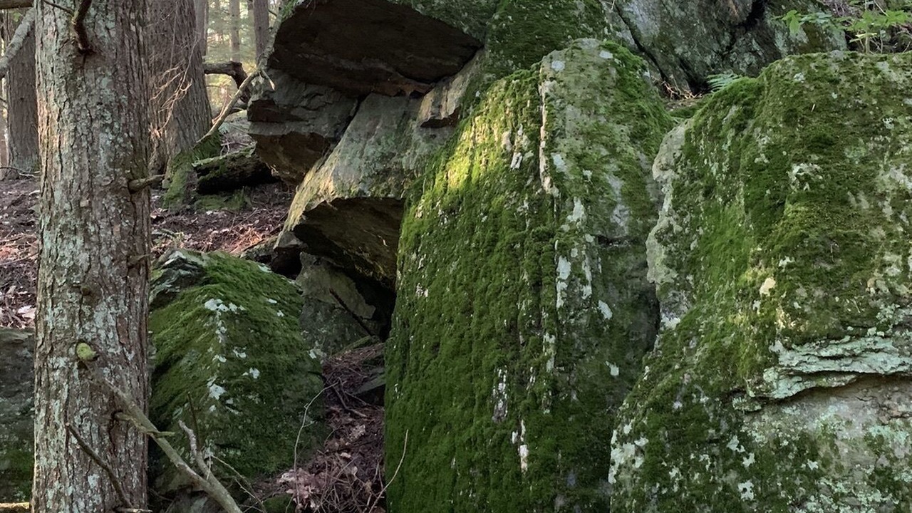Photo of Outdoor in Chittenden County