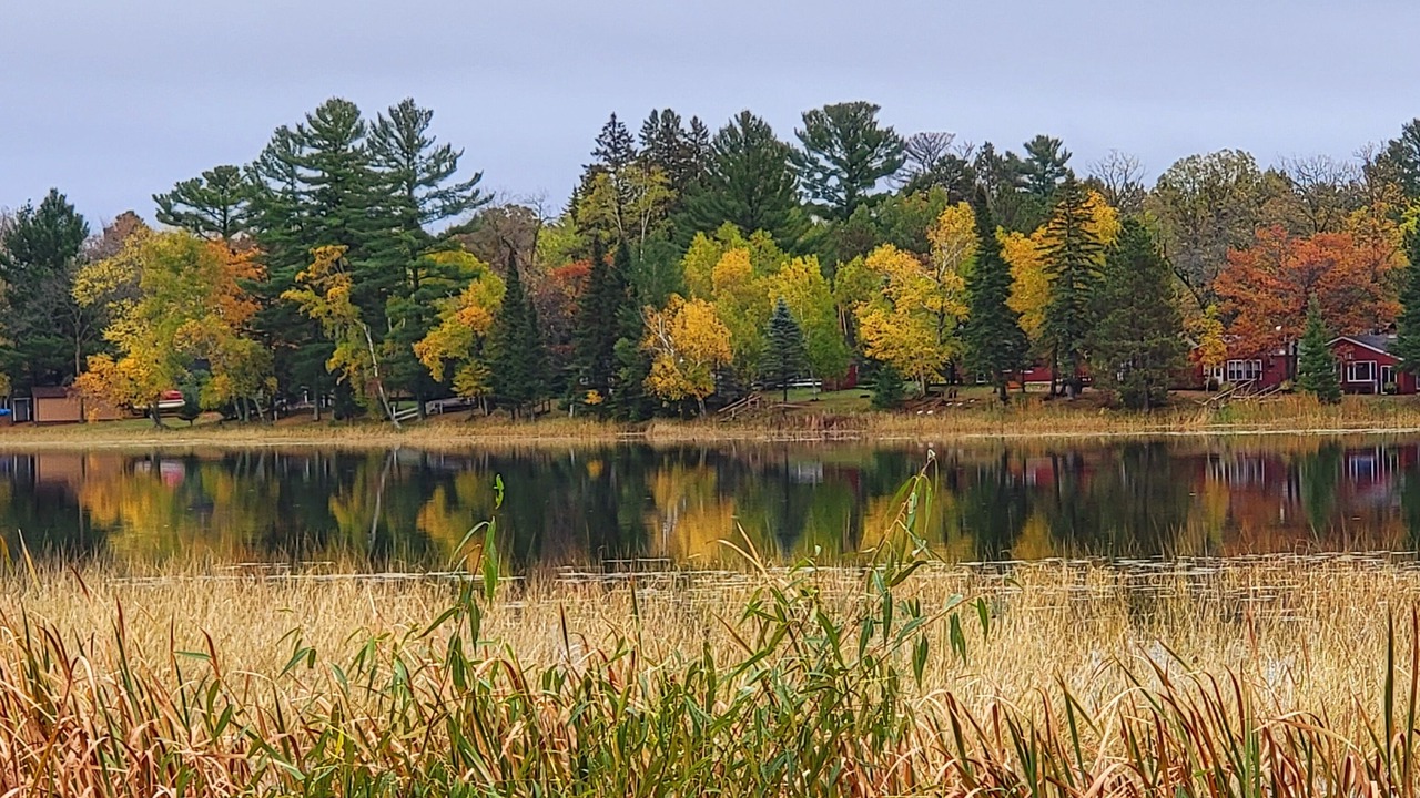 Photo of Outdoor in Pine River