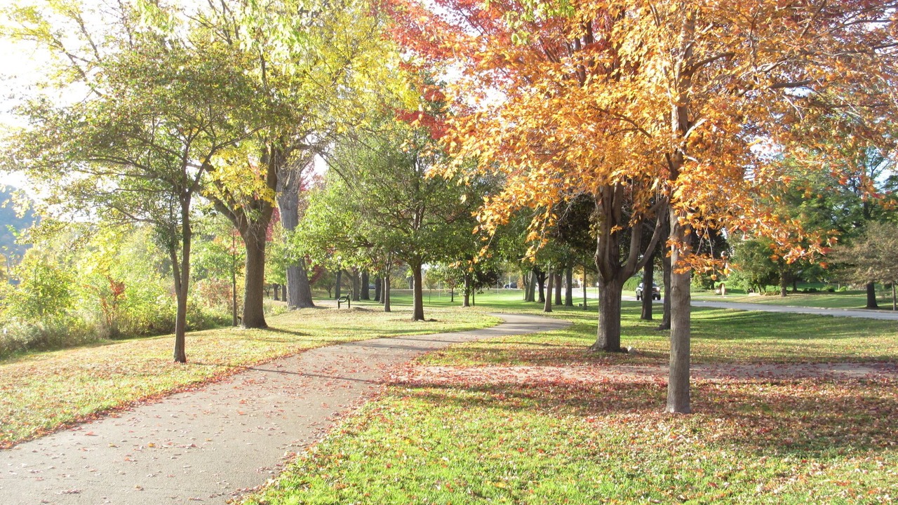 Photo of Outdoor in Winona