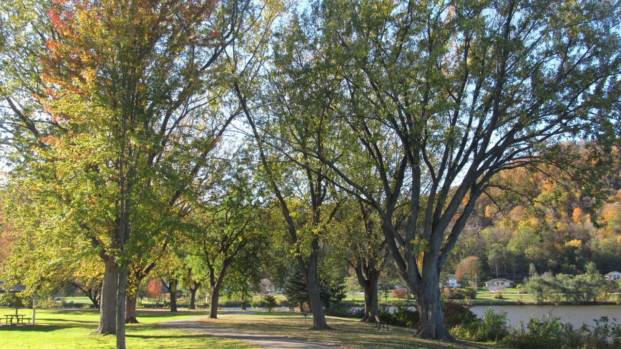 Photo of Outdoor in Winona