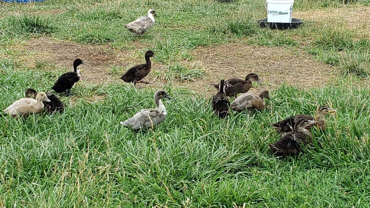 Photo of Outdoor in Hastings
