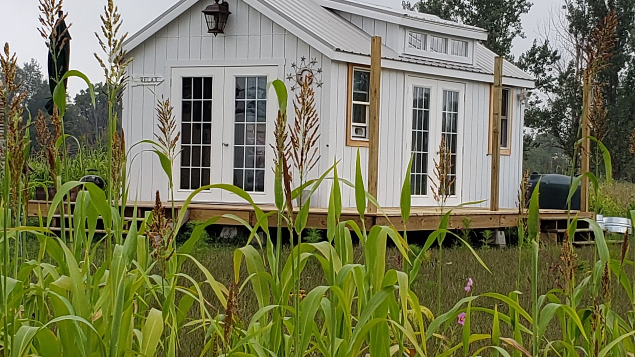 Photo of Outdoor in Hastings