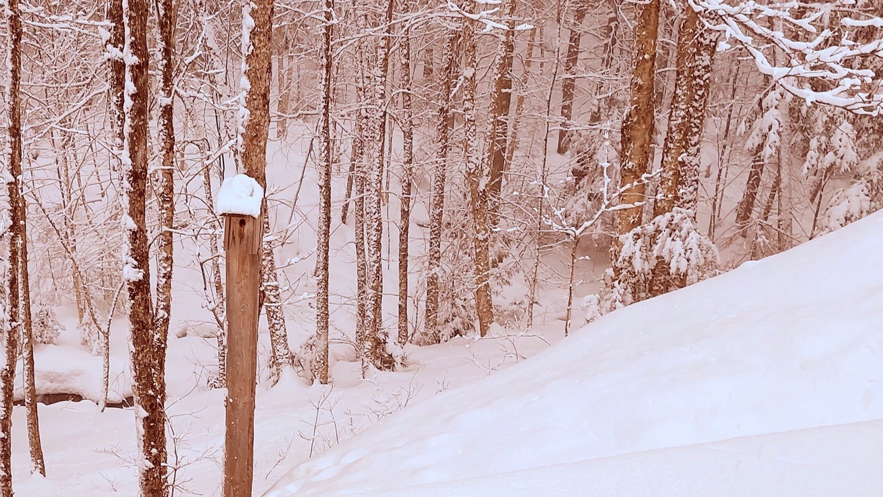 Photo of Others in Craftsbury
