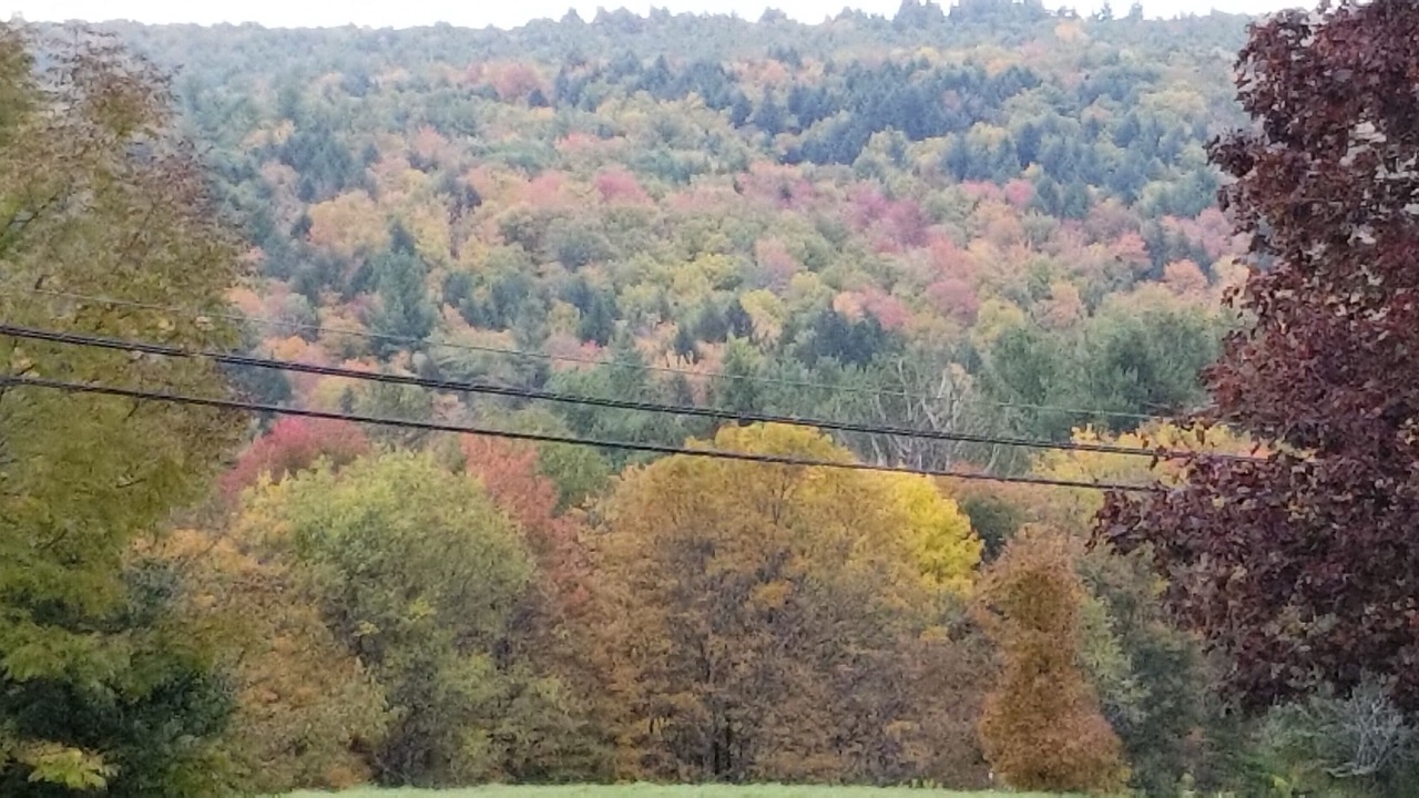 Photo of Outdoor in Heath
