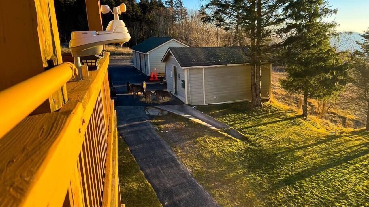 Photo of Outdoor in Snowshoe