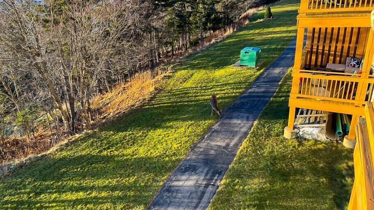 Photo of Outdoor in Snowshoe