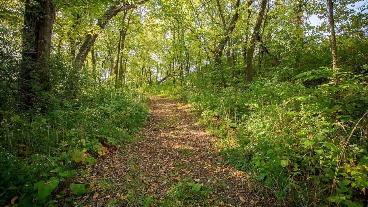 Photo of Outdoor in Rosemount