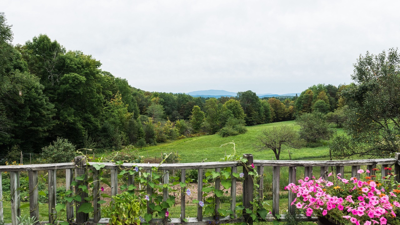 Photo of Outdoor in Orange