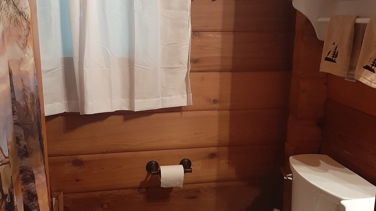 Photo of Bathroom in Lyon Mountain