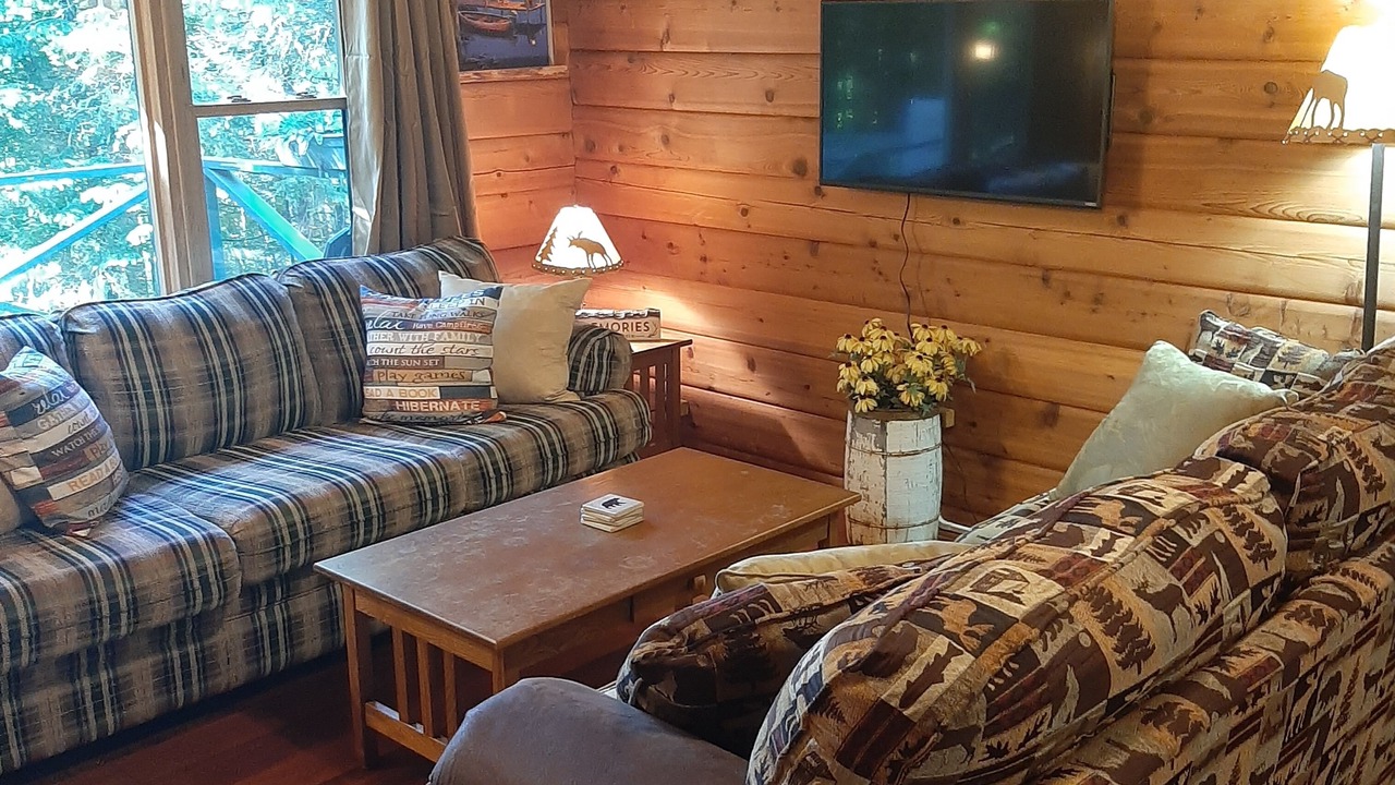 Photo of Livingroom in Lyon Mountain