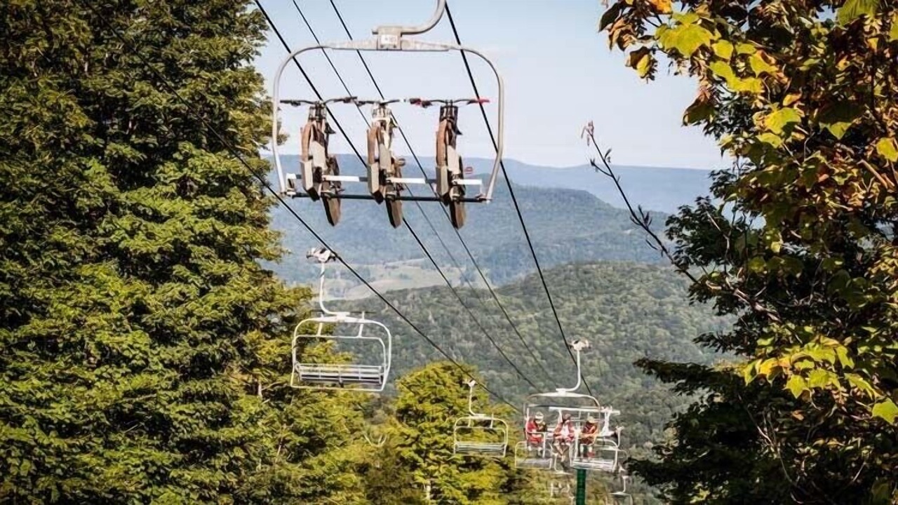 Photo of Others in Snowshoe