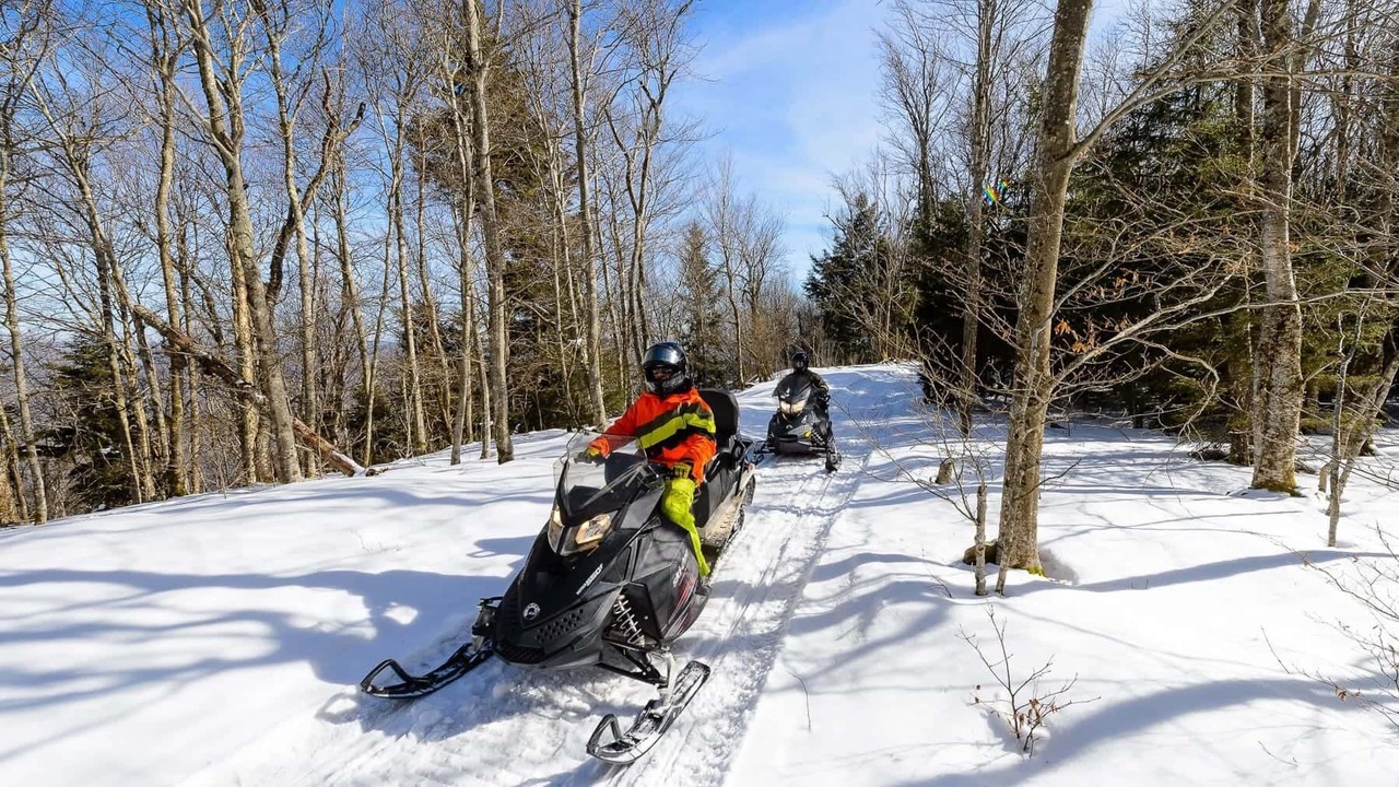 Photo of Others in Snowshoe