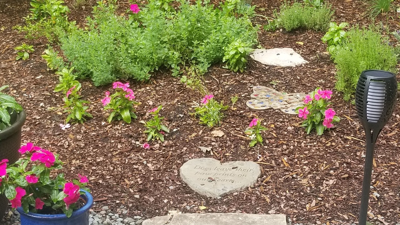 Photo of Outdoor in Brownsville