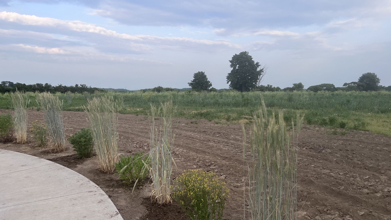 Photo of Outdoor in Rock Elm