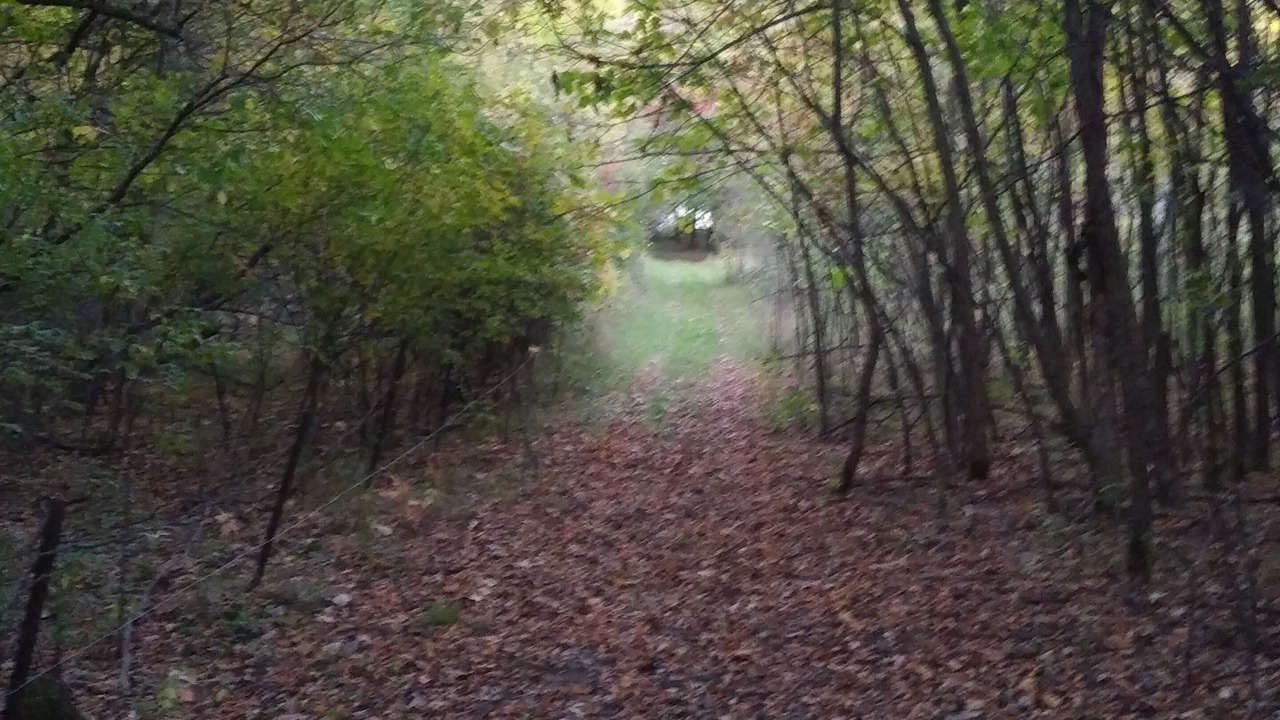 Photo of Outdoor in Eden Valley