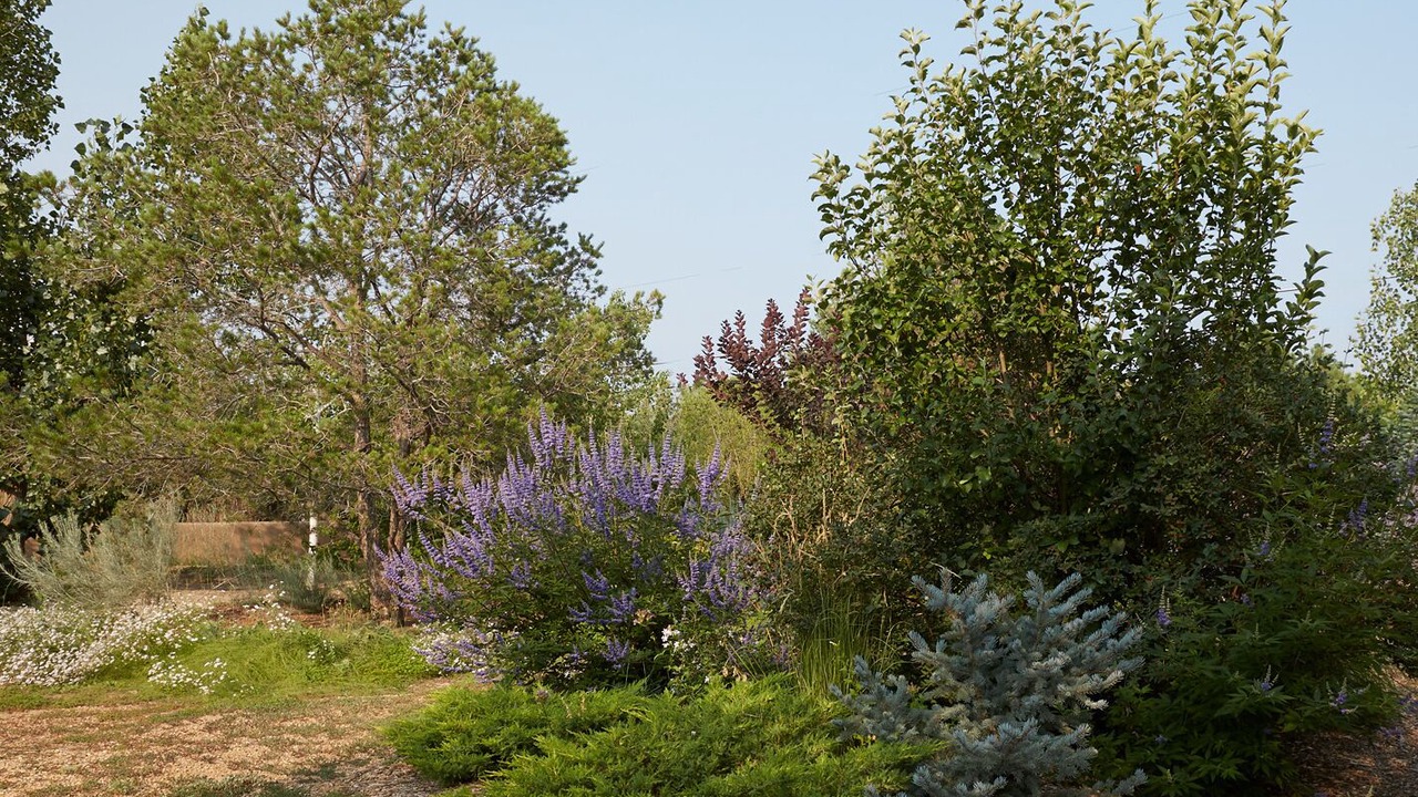 Photo of Outdoor in Santa Fe