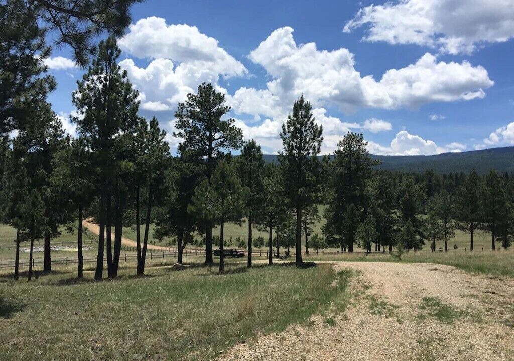 Photo of Outdoor in Angel Fire