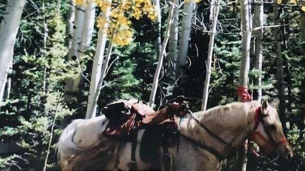 Photo of Others in Angel Fire