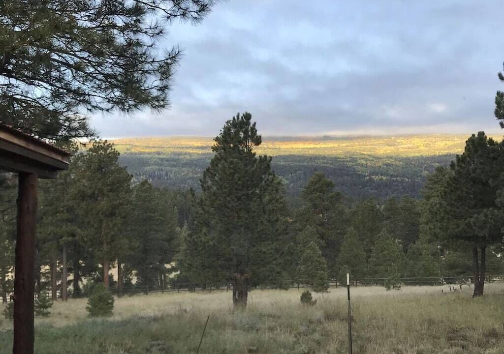 Photo of Outdoor in Angel Fire