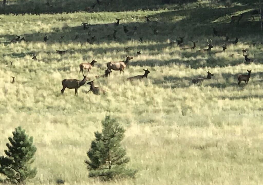 Photo of Others in Angel Fire