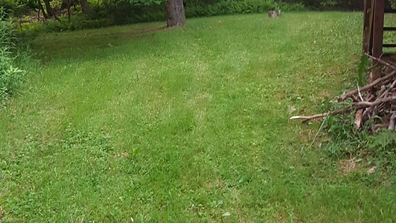 Photo of Outdoor in Montgomery Center