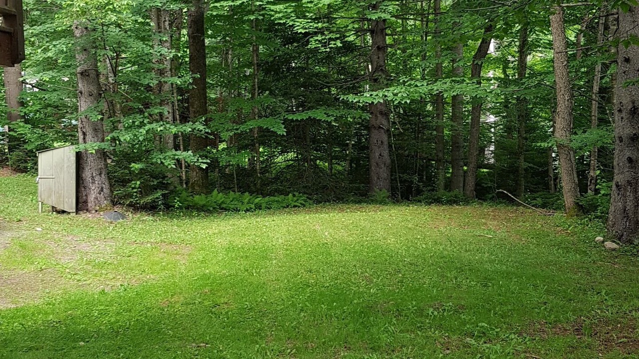 Photo of Outdoor in Montgomery Center