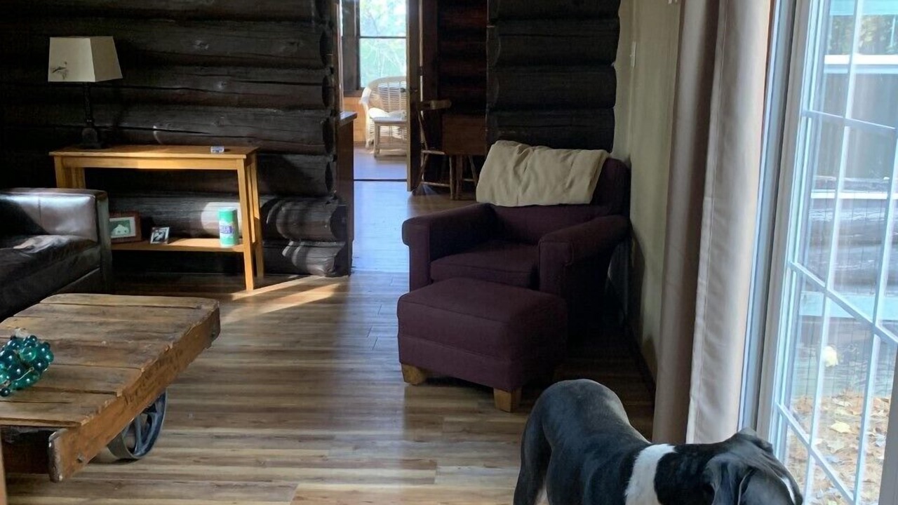 Photo of Livingroom in Hayward