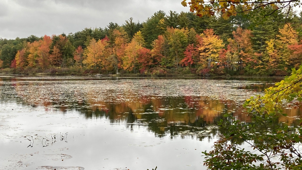 Photo of Others in Rindge
