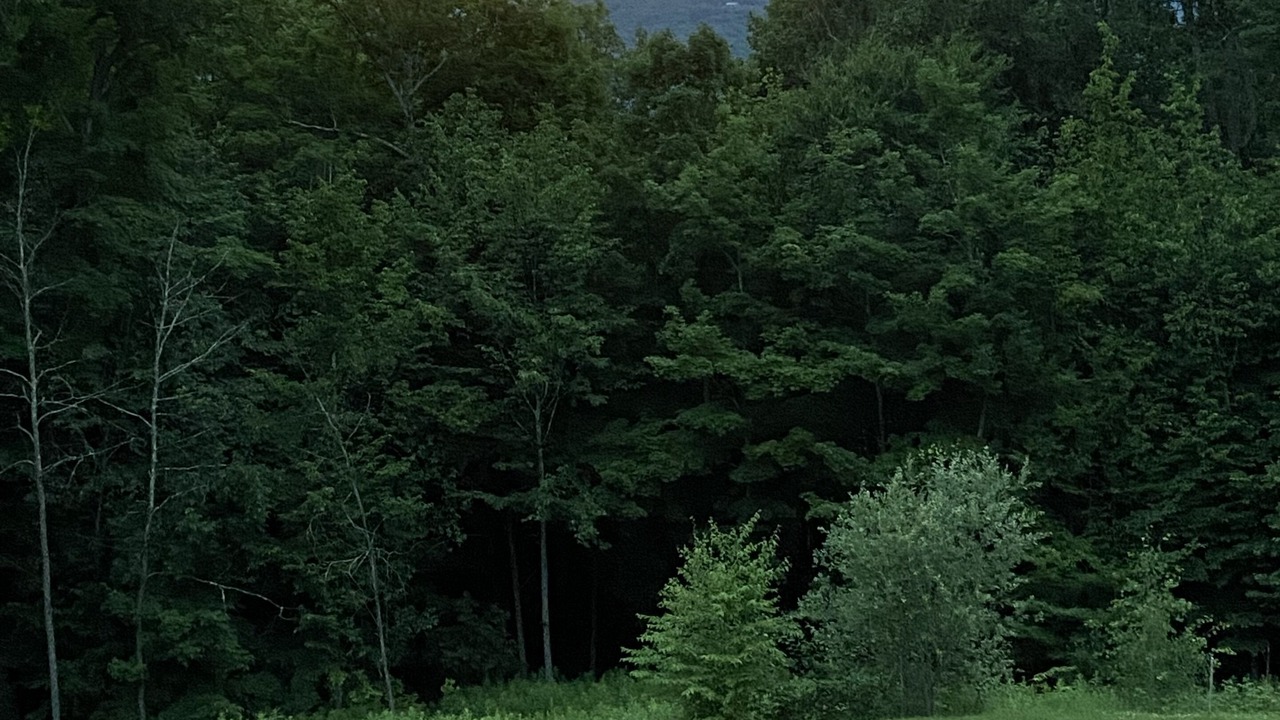Photo of Others in Waitsfield