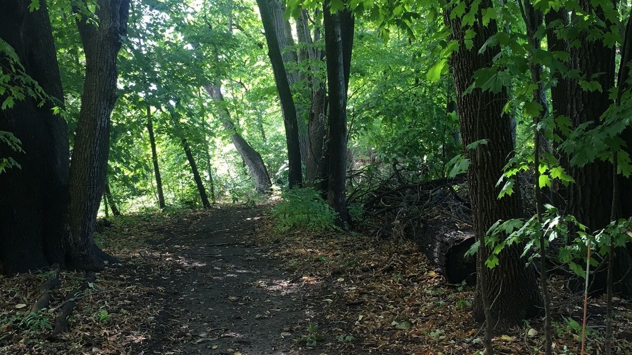 Photo of Outdoor in Plymouth