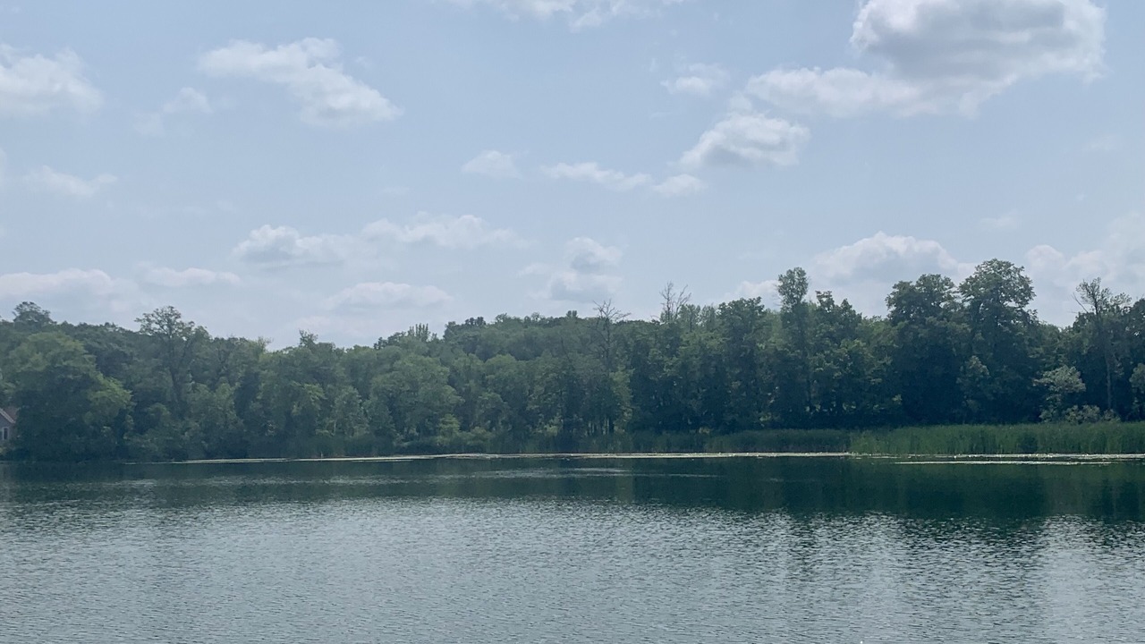 Photo of Outdoor in Richmond