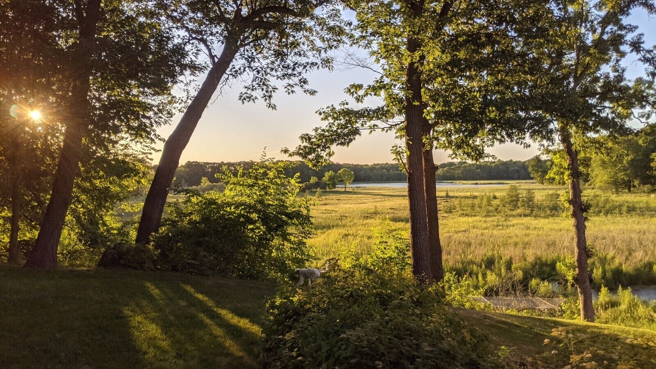 Photo of Outdoor in Forest Lake