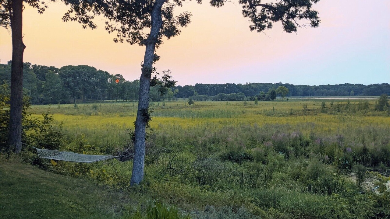 Photo of Outdoor in Forest Lake
