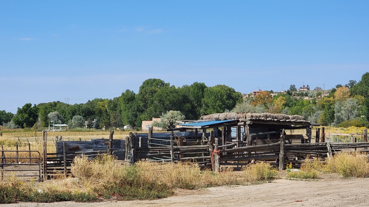 Photo of Others in Taos