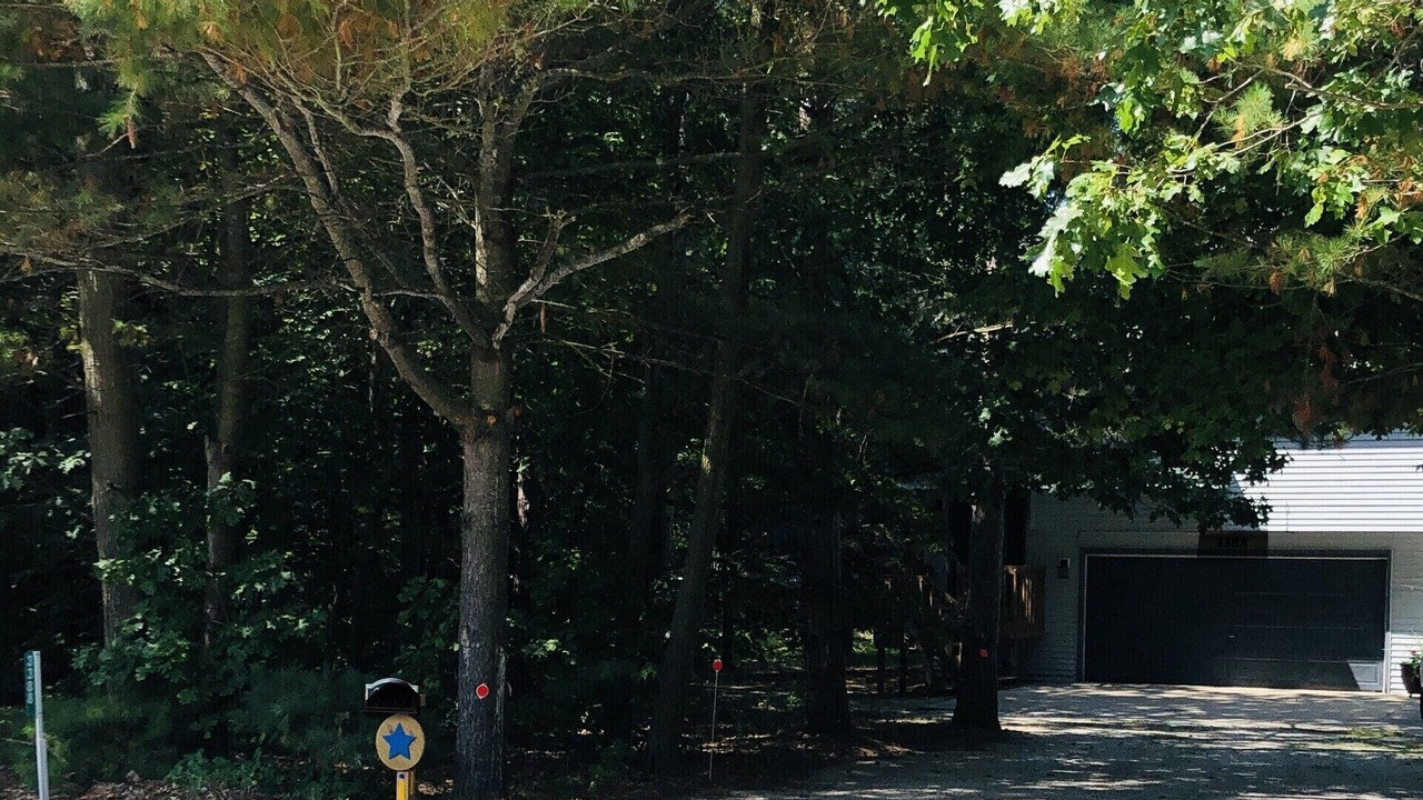 Photo of Others in Saugatuck
