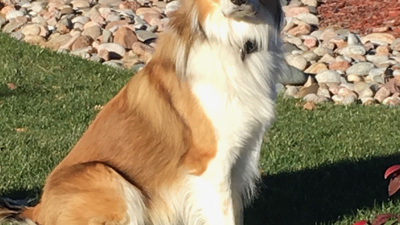 Photo of Others in Pueblo